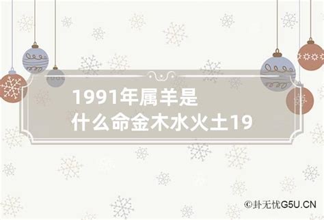 1991年是什么命